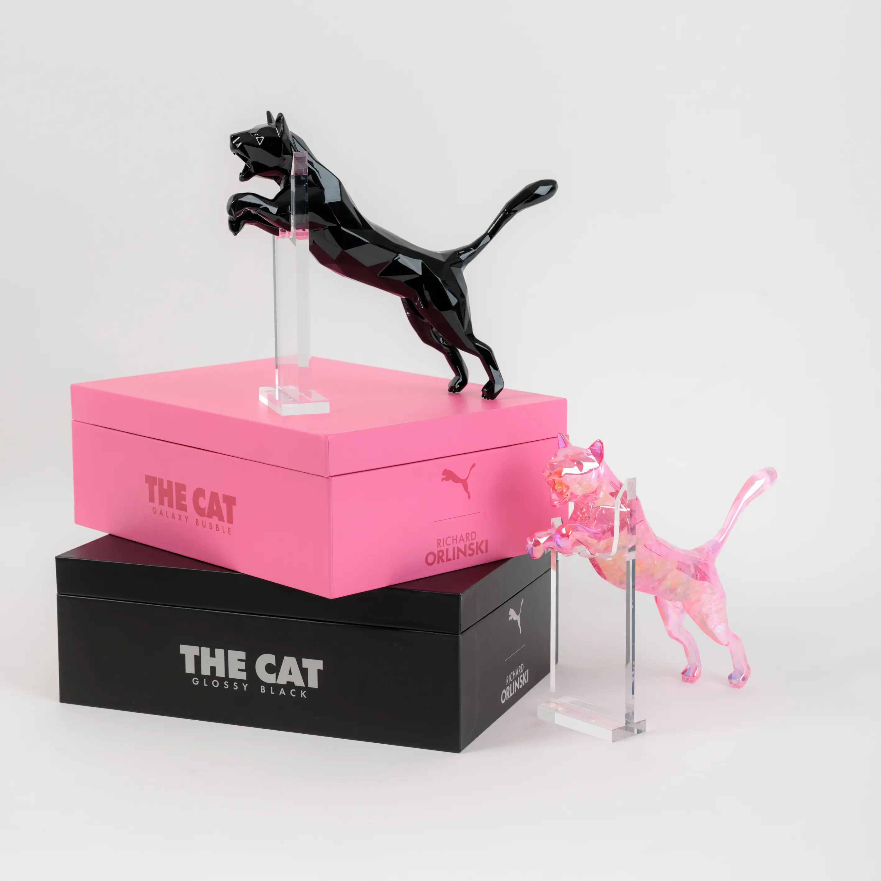 THE CAT PINK GALAXY